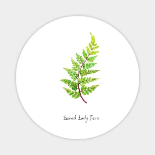 eared lady fern watercolor Magnet